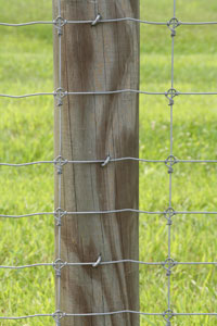 wdn_solidlock-55263.jpg