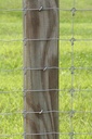 wdn_solidlock-55263.jpg