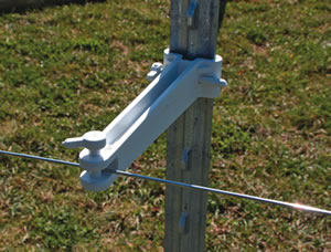it6w_ht-45597.jpg