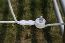 cwbt_ilcw_ro8-90343.jpg