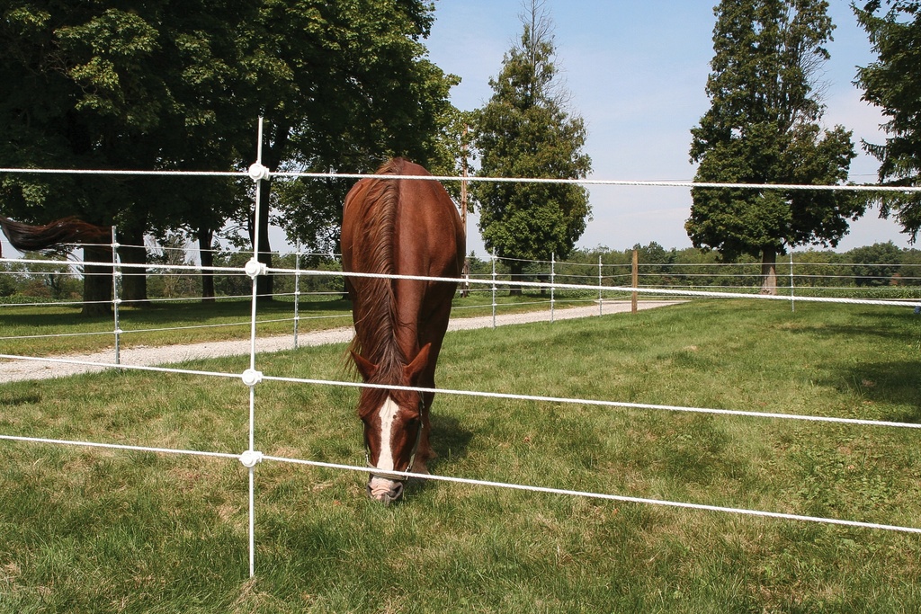 Electric Rope Fence, 656-ft, White
