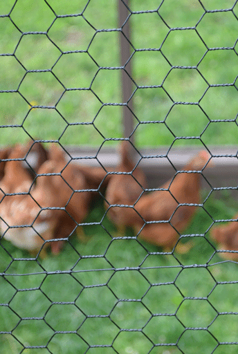 PVC-Coated Hex Wire, Black